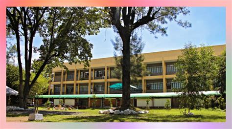 msu college of medicine tuition fee|Mindanao State University: Medicine courses offered.